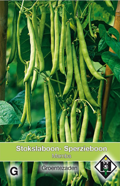 Sperzieboon hoog Mamba (Phaseolus) 60 zaden